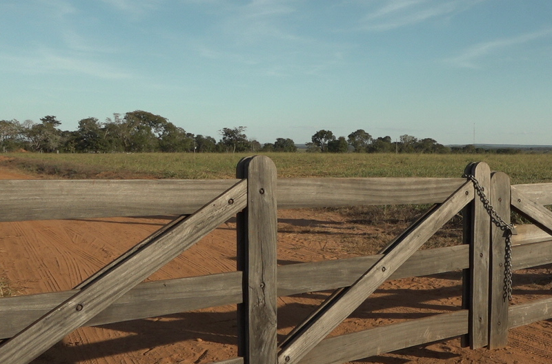 Endividamento de R$ 98 bilhões no agro acende alerta sobre gestão financeira e pressiona crédito rural no Brasil